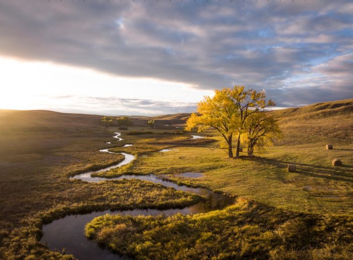 Пятница, друзья! Время для взрывной дозы позитива! Пятница, друзья! Время для взрывной дозы позитива! native-yes