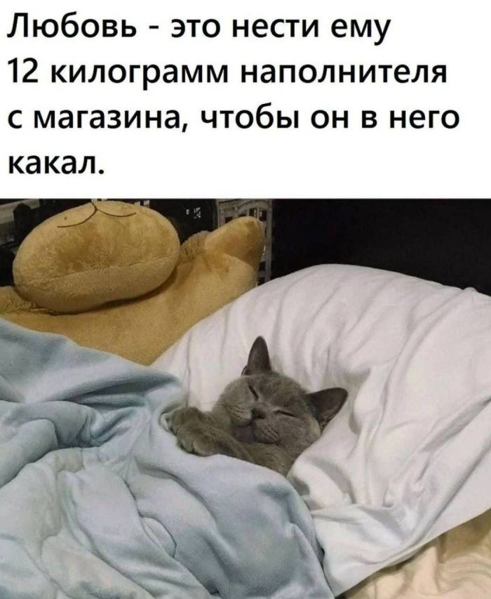 Большой сборник юмора на маленькую среду: мемы и позитивные фотографии! Большой сборник юмора на маленькую среду: мемы и позитивные фотографии! native-yes