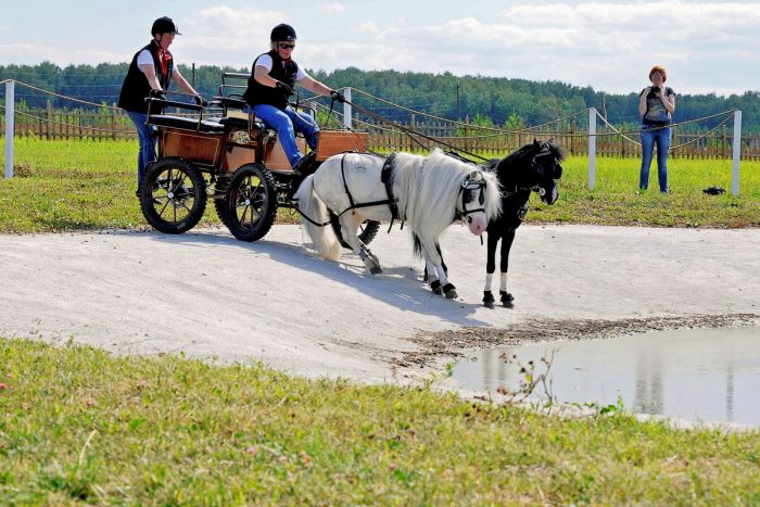 Пятница, друзья! Время для взрывной дозы позитива! Пятница, друзья! Время для взрывной дозы позитива! native-yes