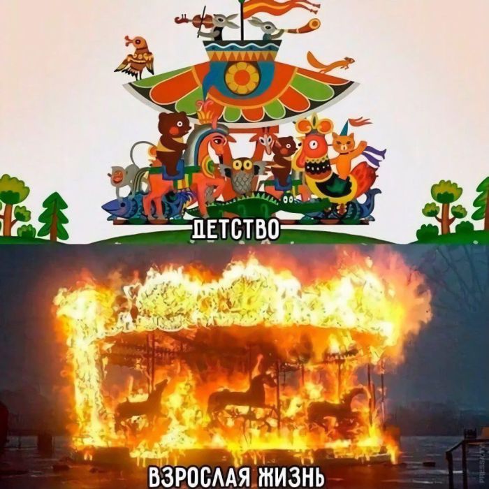 Большой сборник юмора на маленькую среду: мемы и позитивные фотографии! Большой сборник юмора на маленькую среду: мемы и позитивные фотографии! native-yes