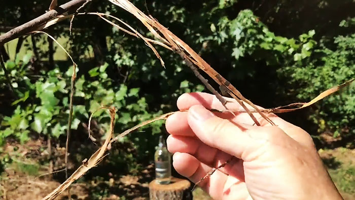 Как разжечь огонь пустой зажигалкой native-yes