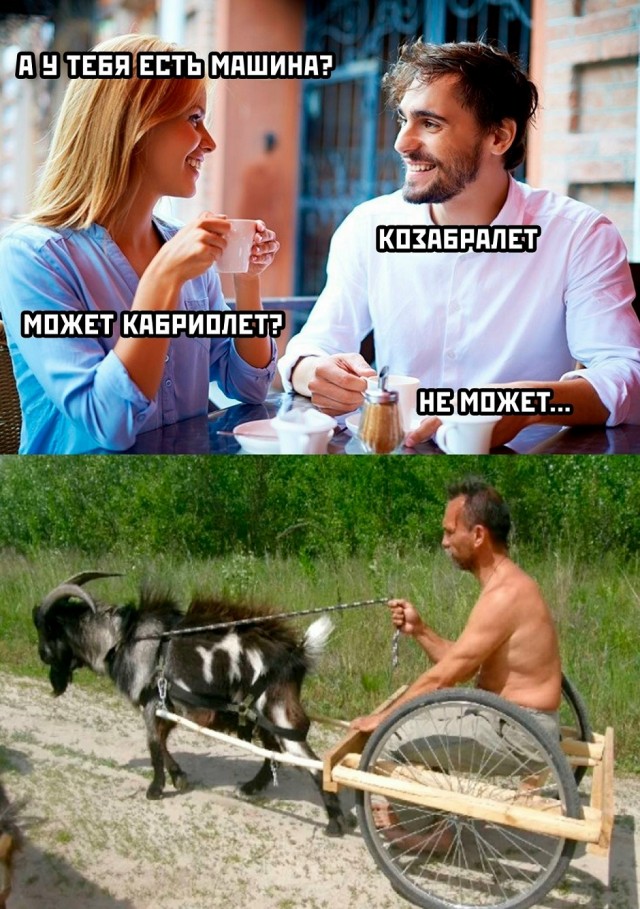 Картинки с прикольными надписями для настроения! native-yes