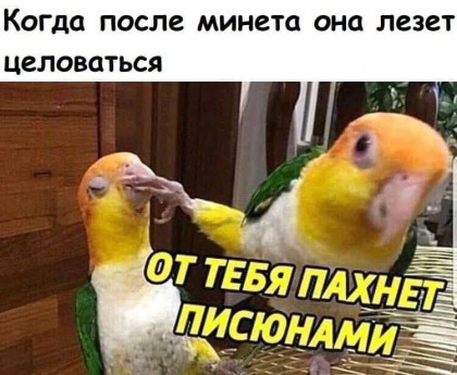 Начните свой день с улыбки и хорошего настроения! native-yes