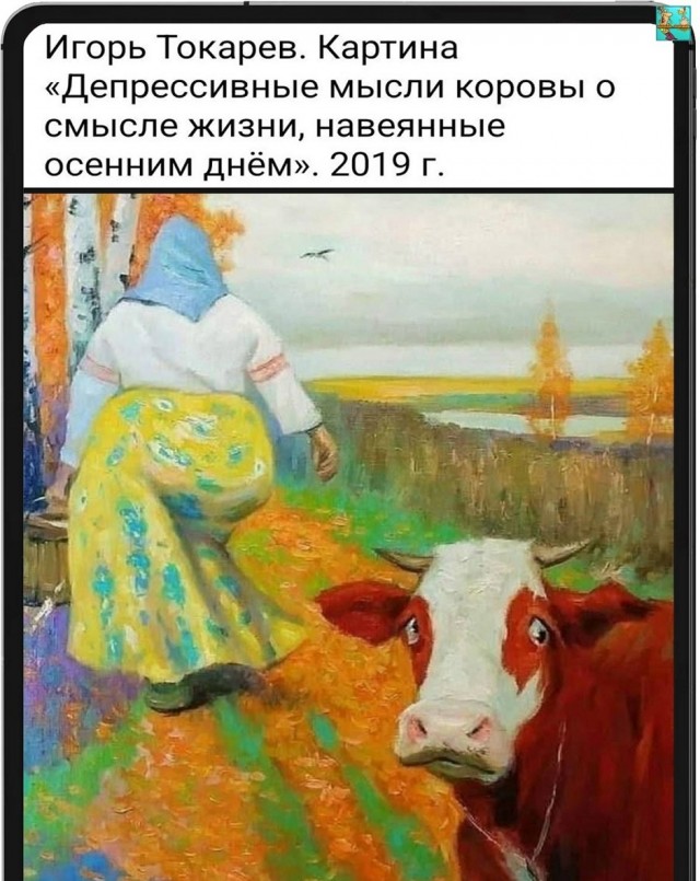 Картинки с прикольными надписями для настроения! native-yes