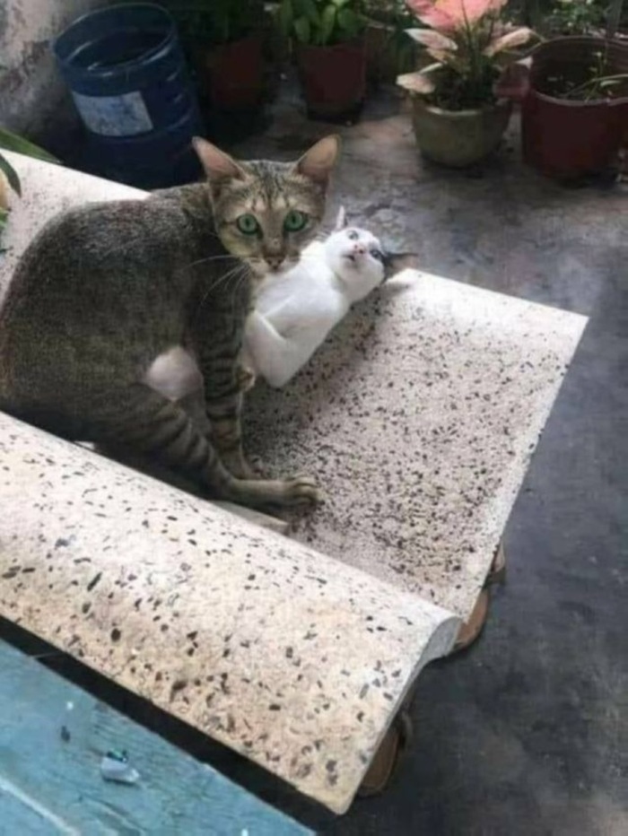 Большой сборник шуток и приколов в пятницу!