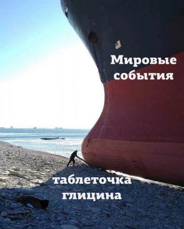 Картинки с прикольными надписями для настроения! native-yes