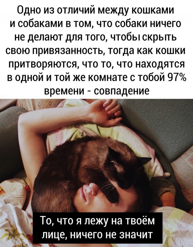 Картинки с прикольными надписями для настроения! native-yes