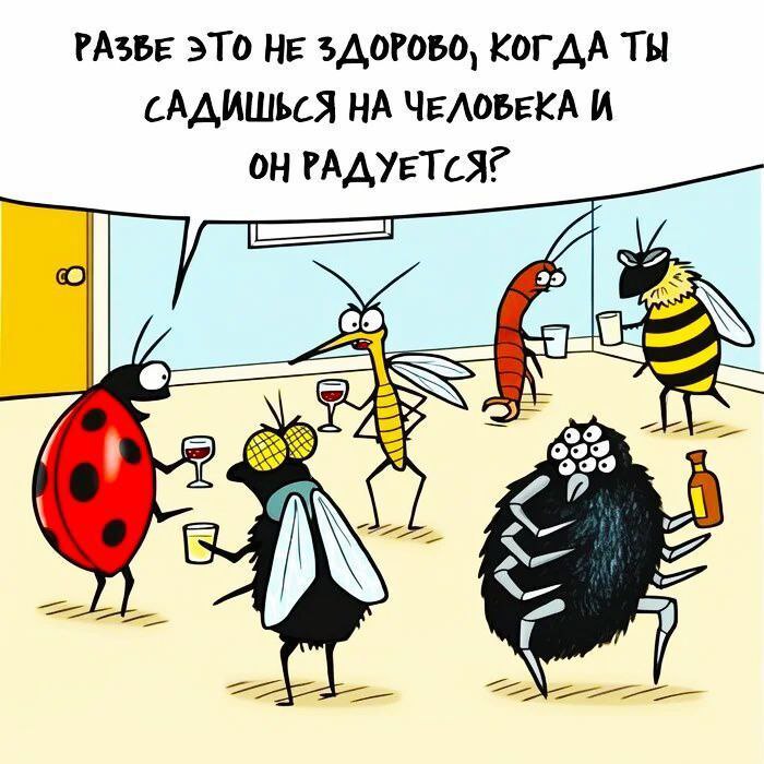 Пятничное настроение: ловим волну позитива с нашим сборником шуток! Пятничное настроение: ловим волну позитива с нашим сборником шуток! native-yes