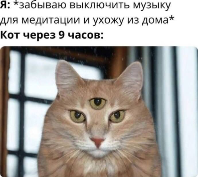 Пятничное настроение: ловим волну позитива с нашим сборником шуток! Пятничное настроение: ловим волну позитива с нашим сборником шуток! native-yes