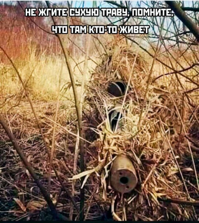 Начните свой день с улыбки и хорошего настроения! native-yes