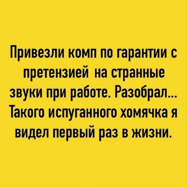Картинки с прикольными надписями для настроения! native-yes