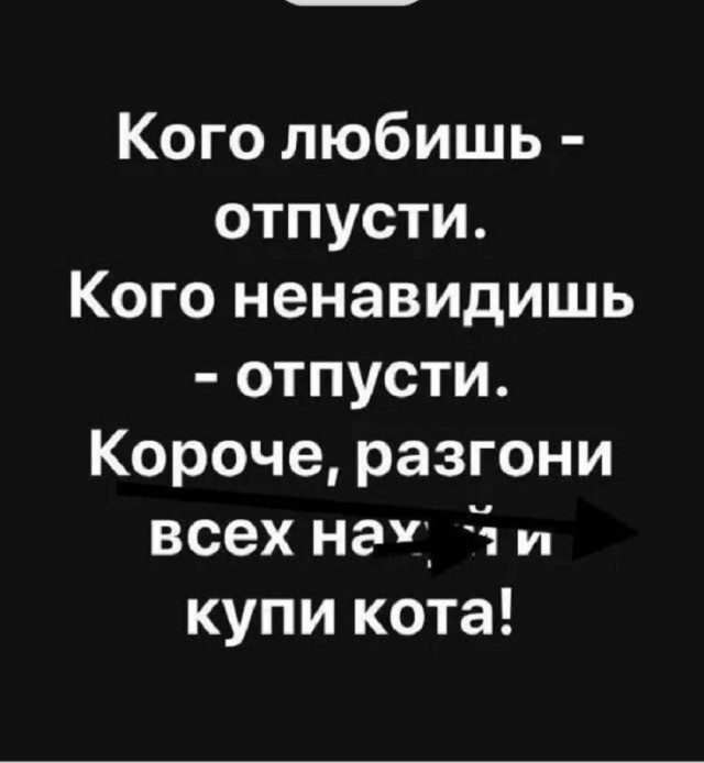 Картинки с прикольными надписями для настроения! native-yes