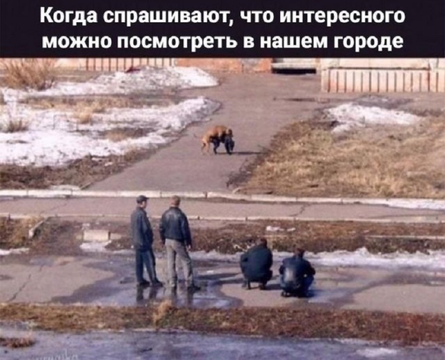 Картинки с прикольными надписями для настроения! native-yes