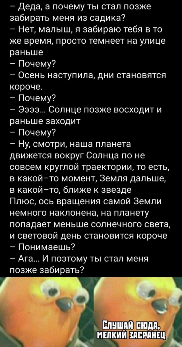 Картинки с прикольными надписями для настроения! native-yes
