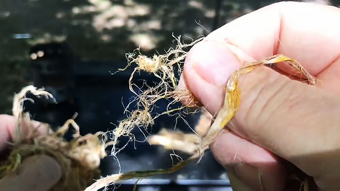 Как разжечь огонь пустой зажигалкой native-yes