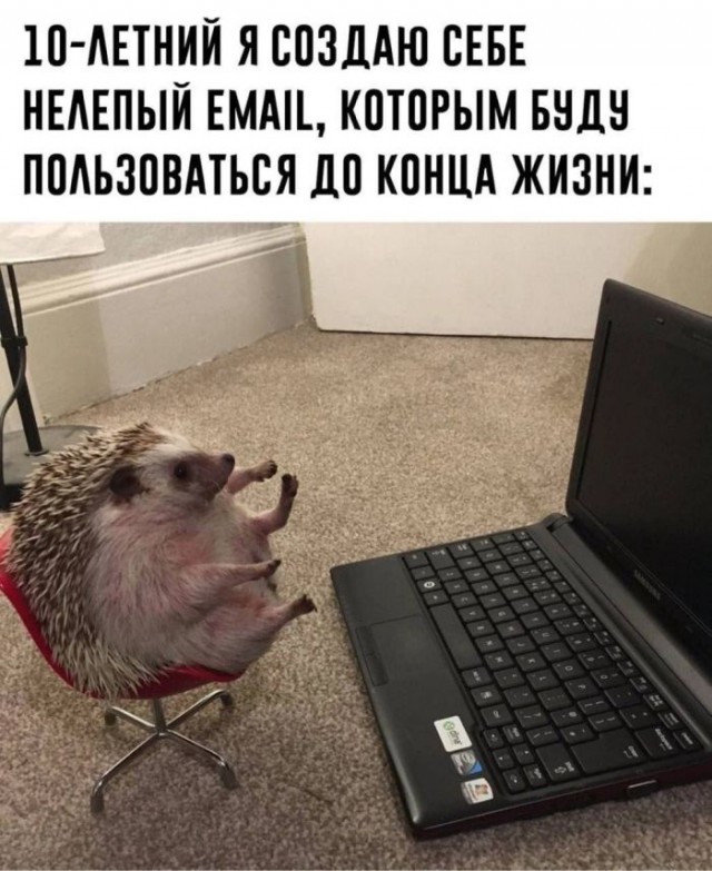 Начните свой день с улыбки и хорошего настроения! native-yes