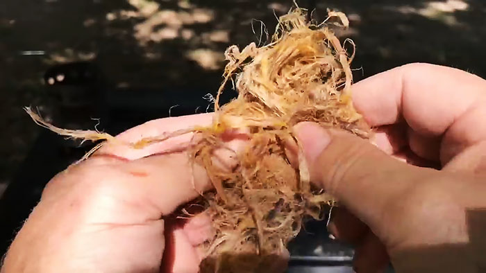 Как разжечь огонь пустой зажигалкой native-yes