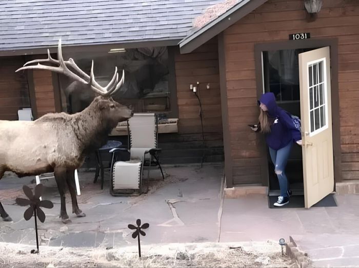 Пятничное настроение: ловим волну позитива с нашим сборником шуток! Пятничное настроение: ловим волну позитива с нашим сборником шуток! native-yes