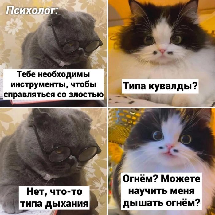 Большой сборник шуток и приколов в пятницу! native-yes