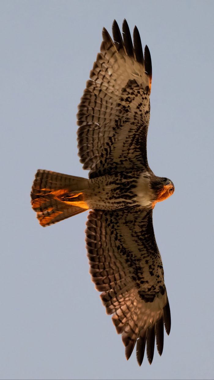 Пятничное настроение: ловим волну позитива с нашим сборником шуток! Пятничное настроение: ловим волну позитива с нашим сборником шуток! native-yes