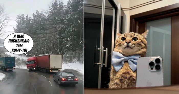 Маленькая пятница уже здесь, а значит, самое время для порции хорошего настроения! 🍁