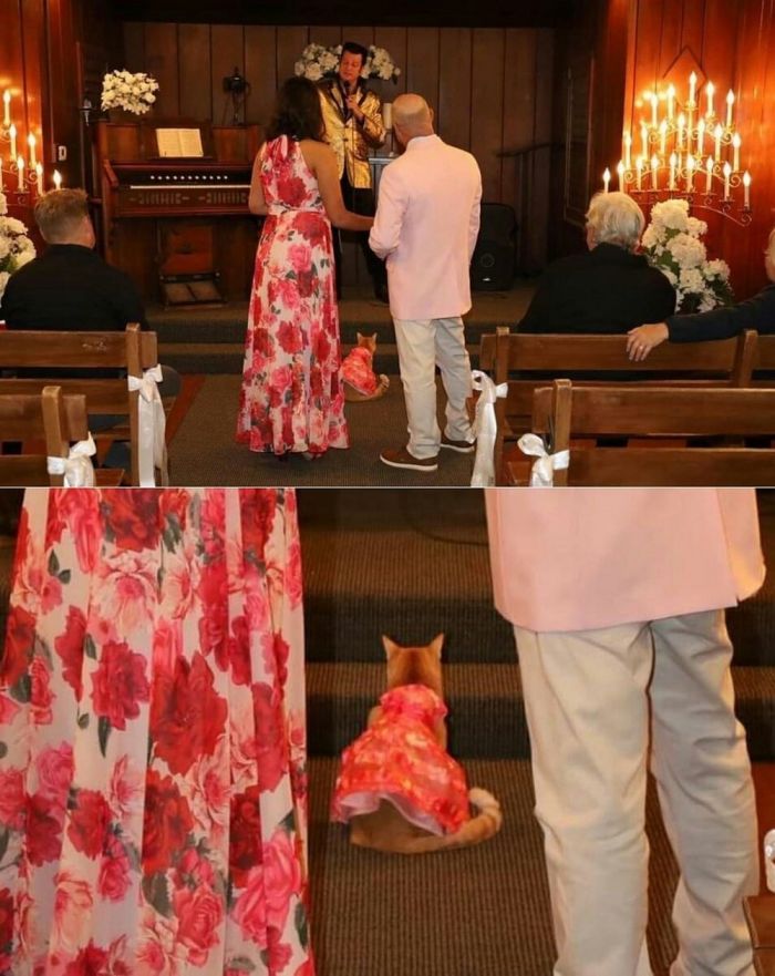 Большой сборник шуток и приколов в пятницу! native-yes