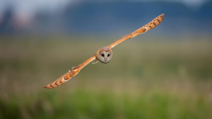 Пятничное настроение: ловим волну позитива с нашим сборником шуток! Пятничное настроение: ловим волну позитива с нашим сборником шуток! native-yes