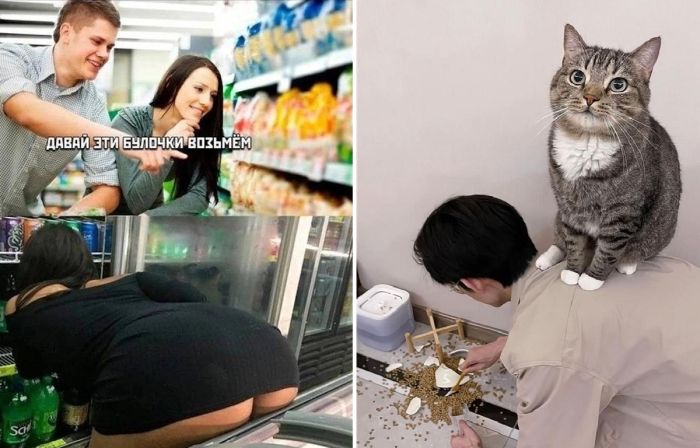 Пятничное настроение: ловим волну позитива с нашим сборником шуток!