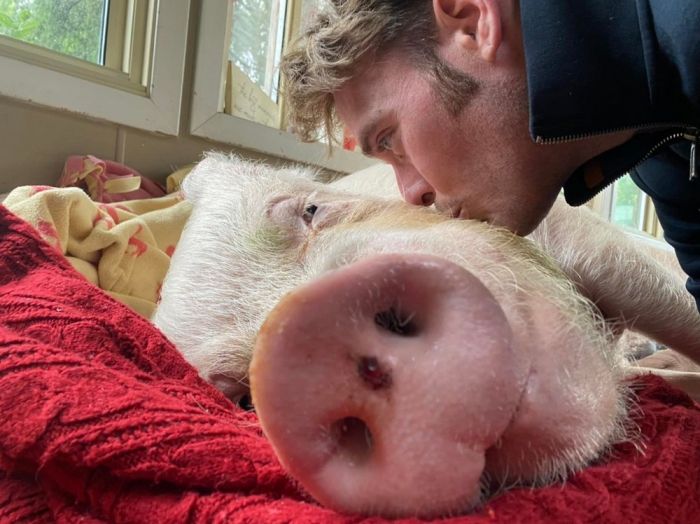 Большой сборник шуток и приколов в пятницу! native-yes