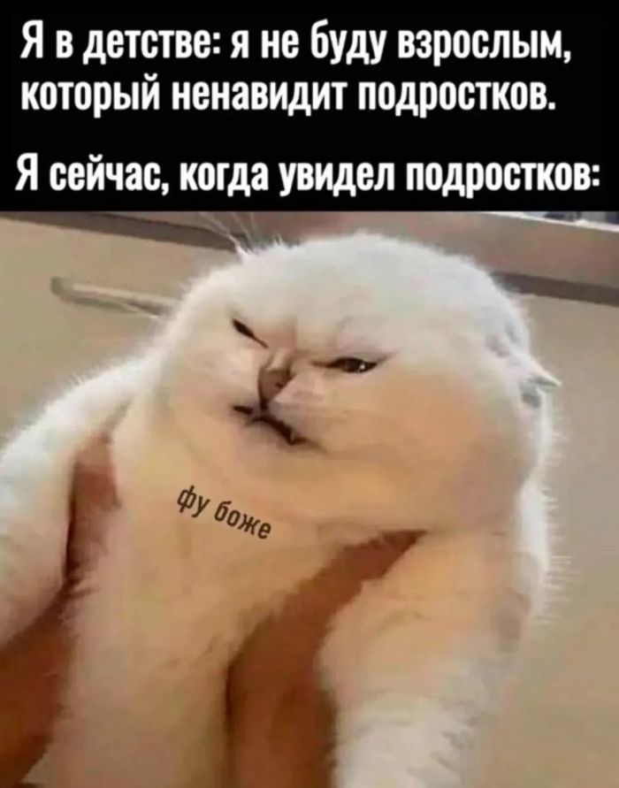 Начните свой день с улыбки и хорошего настроения! native-yes