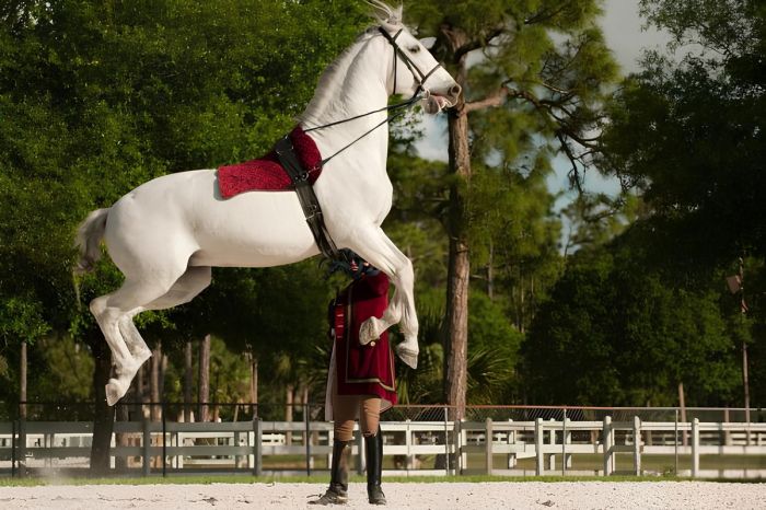 Пятничное настроение: ловим волну позитива с нашим сборником шуток! Пятничное настроение: ловим волну позитива с нашим сборником шуток! native-yes