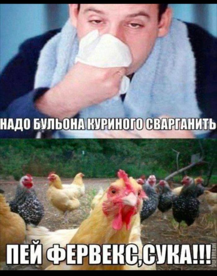 Картинки с прикольными надписями для настроения! native-yes