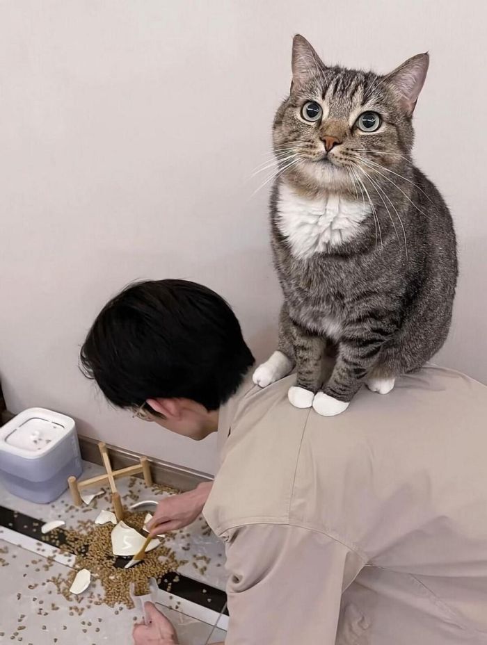 Пятничное настроение: ловим волну позитива с нашим сборником шуток!