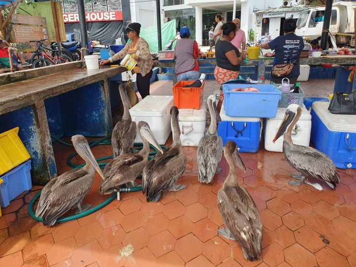 Пятничное настроение: ловим волну позитива с нашим сборником шуток! Пятничное настроение: ловим волну позитива с нашим сборником шуток! native-yes