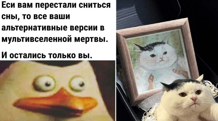 Пятница! Время для смеха и отличного настроения!