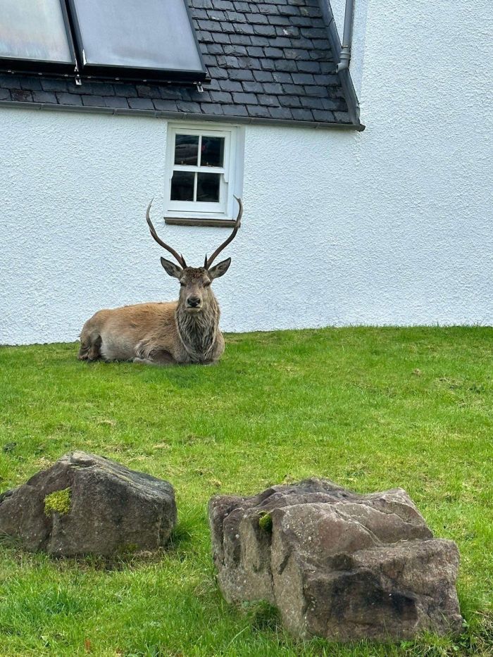 Большой сборник шуток и приколов в пятницу! native-yes