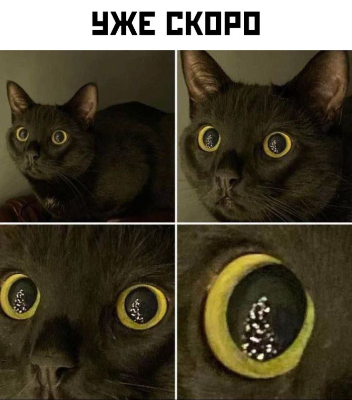 Пятничное настроение: ловим волну позитива с нашим сборником шуток! Пятничное настроение: ловим волну позитива с нашим сборником шуток! native-yes