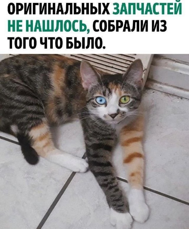 Среда – не повод грустить! Встречайте «маленькую пятницу» с улыбкой! Среда – не повод грустить! Встречайте «маленькую пятницу» с улыбкой! native-yes