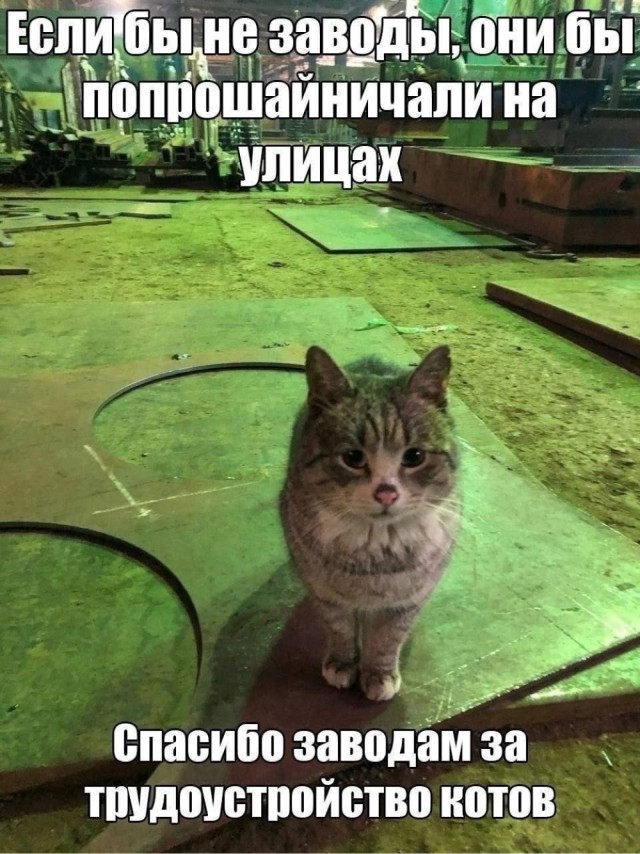 Среда – не повод грустить! Встречайте «маленькую пятницу» с улыбкой! Среда – не повод грустить! Встречайте «маленькую пятницу» с улыбкой! native-yes