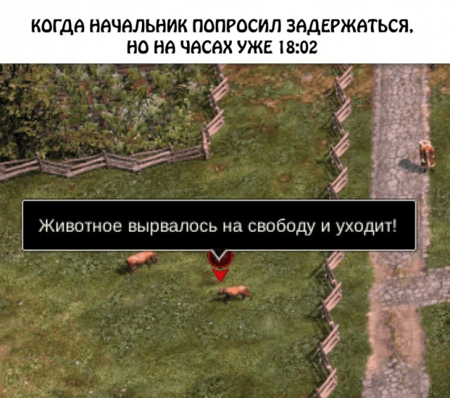 Среда – не повод грустить! Встречайте «маленькую пятницу» с улыбкой! Среда – не повод грустить! Встречайте «маленькую пятницу» с улыбкой! native-yes