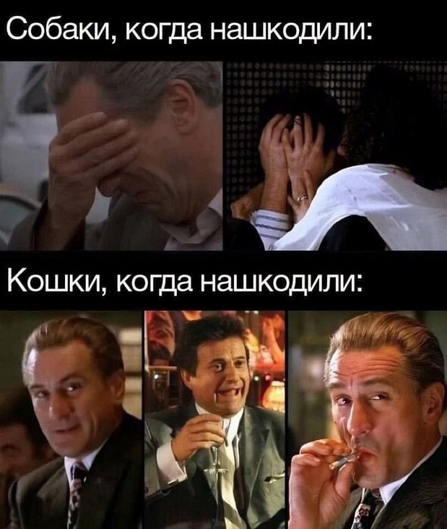 Среда – не повод грустить! Встречайте «маленькую пятницу» с улыбкой! Среда – не повод грустить! Встречайте «маленькую пятницу» с улыбкой! native-yes