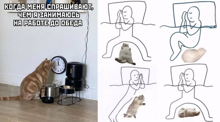 Маленькая пятница: заряжаемся позитивом и смехом!