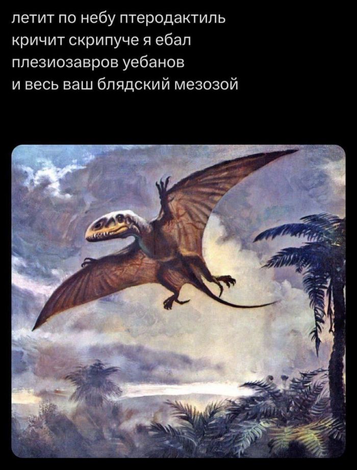 Среда – не повод грустить! Встречайте «маленькую пятницу» с улыбкой! Среда – не повод грустить! Встречайте «маленькую пятницу» с улыбкой! native-yes