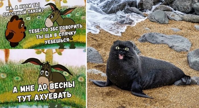 Маленькая пятница: заряжаемся позитивом и смехом!