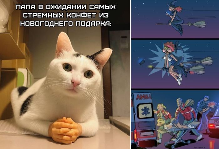 Пятница, ты прекрасна! Завершаем неделю с улыбкой!