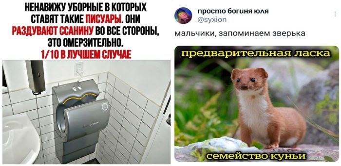 Предлагаю вам окунуться в мир свежих и уморительных приколов!