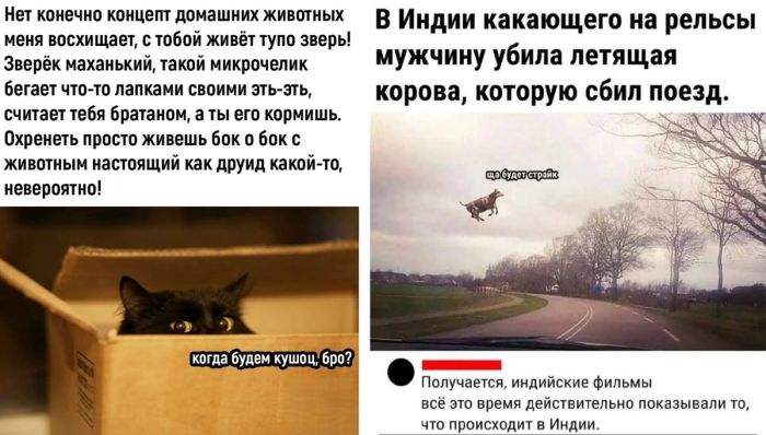 Доброе утро! Время для порции свежего юмора! 🚀