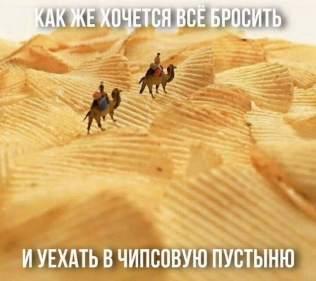 Понедельник? Не беда! Заряжаемся позитивом с новыми мемами и картинками! native-yes