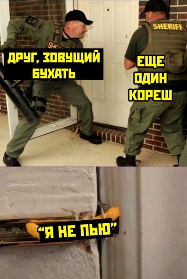 Понедельник? Не беда! Заряжаемся позитивом с новыми мемами и картинками! native-yes