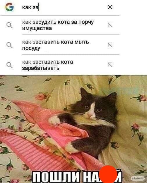 Новый понедельник – новые шутки! Новый понедельник – новые шутки! native-yes